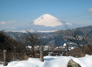 img_fuji